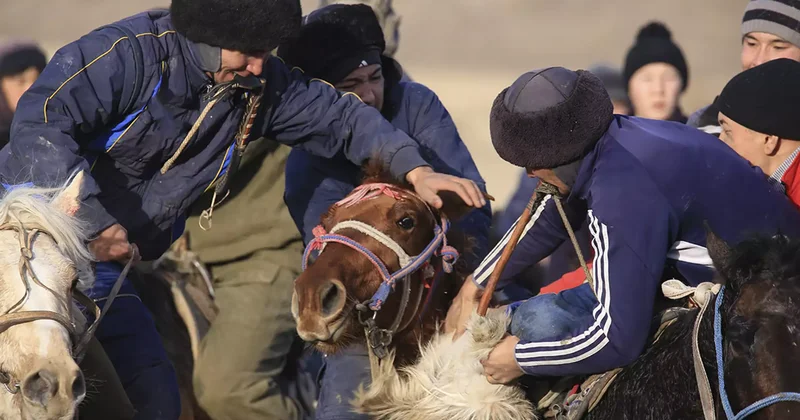 Қызылорда облысында көкпаршыларды қаққан жүргізушіге қылмыстық іс қозғалды