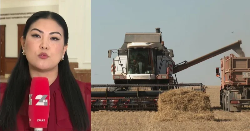 Елімізде астық жинау аяқталды