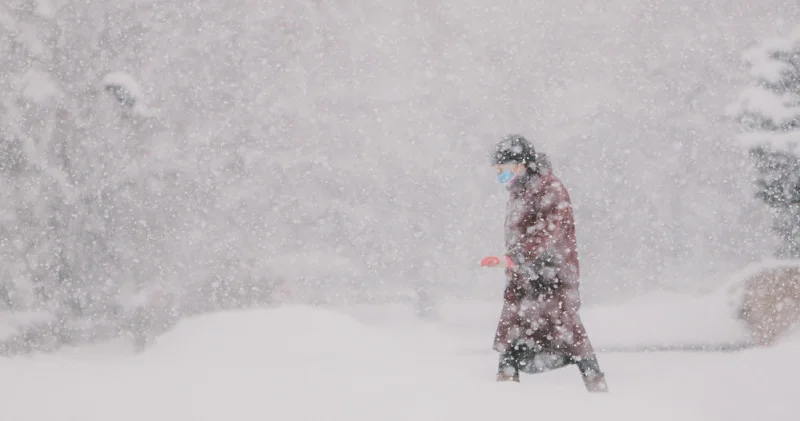 Алматыда ауа райы бұзылады: ТЖД ескерту жасады: 04 қараша 2025, 10:12 жаңалықтар
