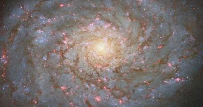 Гороскоп на 5 ноября: середина недели требует равновесия и самообладания