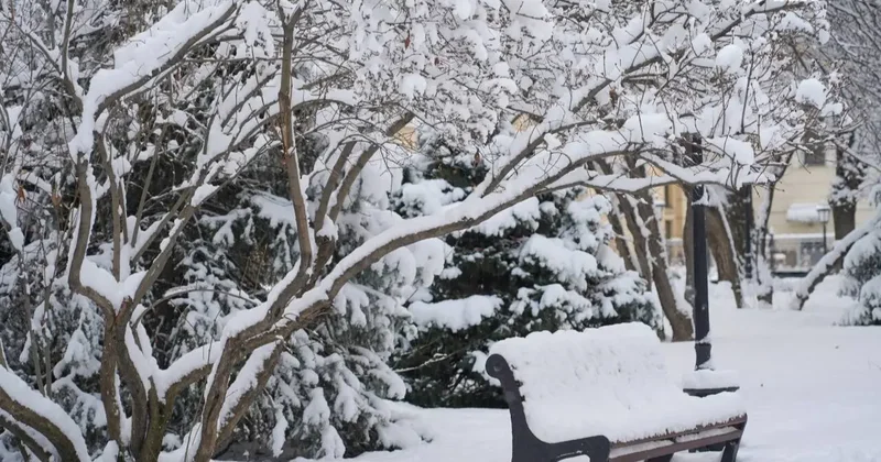 Дождь, снег, гололёд ожидаются в Алматы: автомобилистов просят пересесть на автобусы