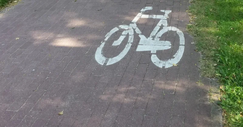 С велодорожек стали убирать сигнальные столбики в Алматы