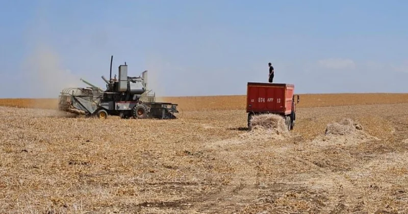 Шымкент агросекторы жаңғырып келеді