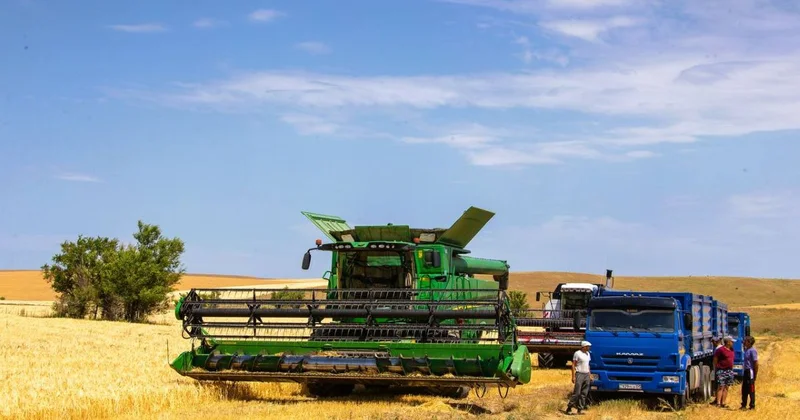 Механизм кредитных линий для аграриев внедрят в Казахстане