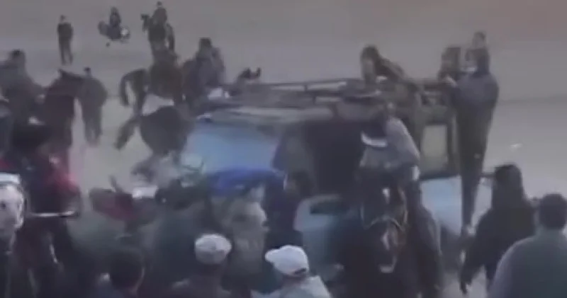 Қызылорда облысында көкпарға шыққан аттарды көлік қағып кеткен (видео)