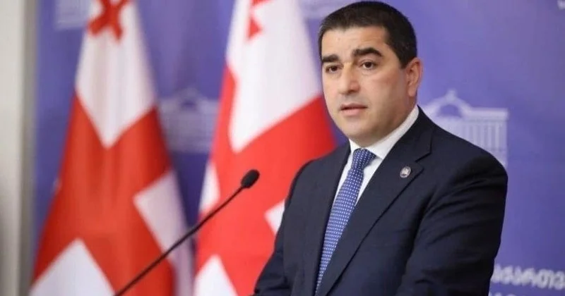 Грузия ЕО дан химиялық қару туралы жалған мәлімдемесі үшін кешірім сұрауды талап етті