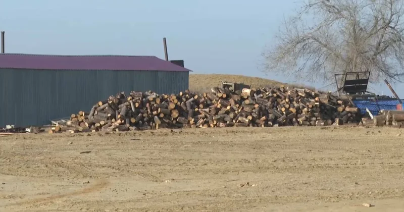 Ақтөбе облысында ауылдың шаруа қожалықтарына мамандар керек