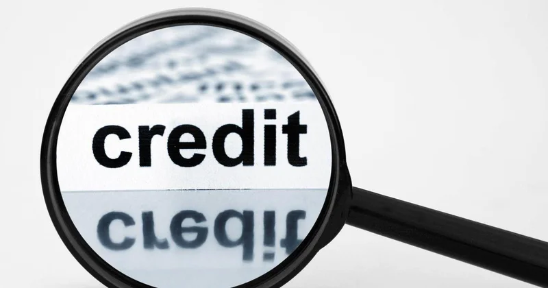 Сенатор жастарға микронесие беруді 21 жастан бастап шектеуді ұсынды