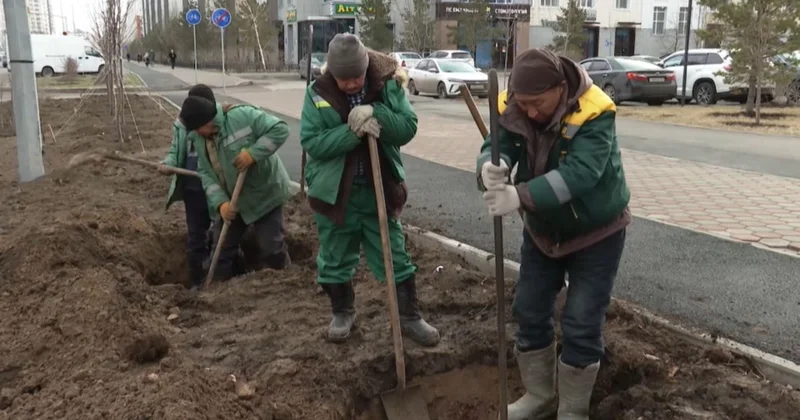 Таза Қазақстан : 1 млн гектар жер тазартылды