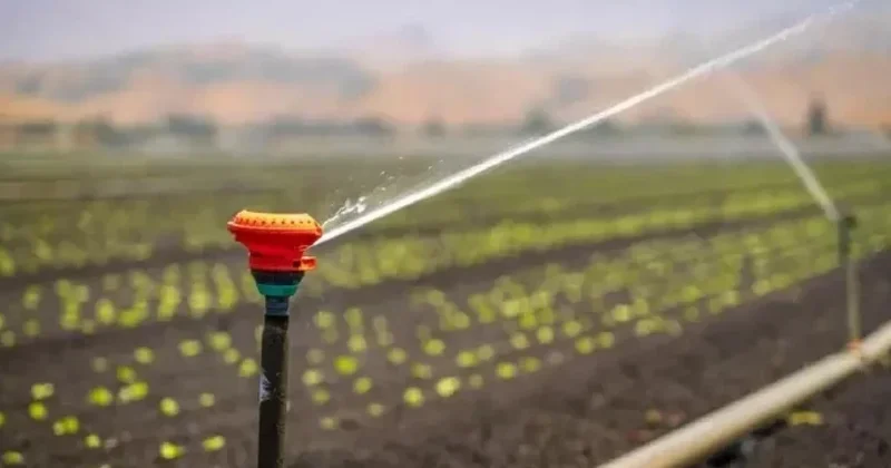 2026 жылы су тапшылығы қаупі бар: аграрларға ылғалды көп қажет ететін дақылдарды қысқарту ұсынылды