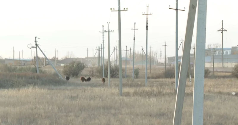 Биыл елде сегіз жылда алғаш рет қыс қарсыз басталды