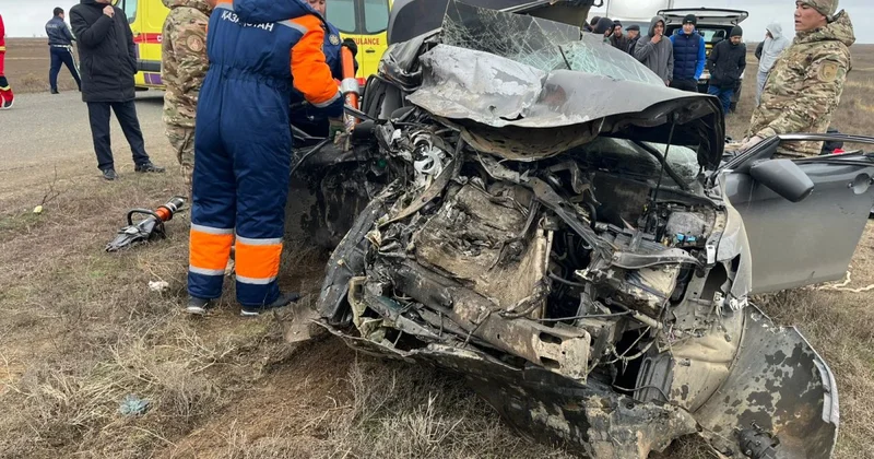 Каждая жизнь на счету