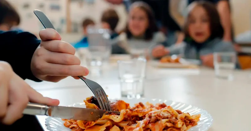 После жалоб на тараканов договор с подрядчиком школьной столовой расторгли в Петропавловске