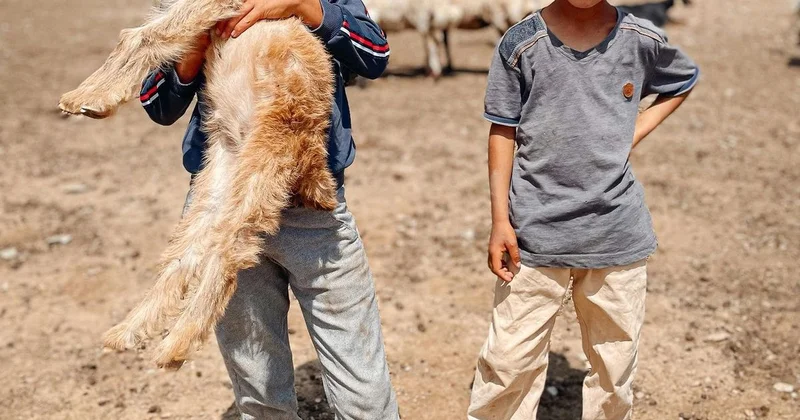 Детей держали в рабстве : отчима осудили в Жамбылской области