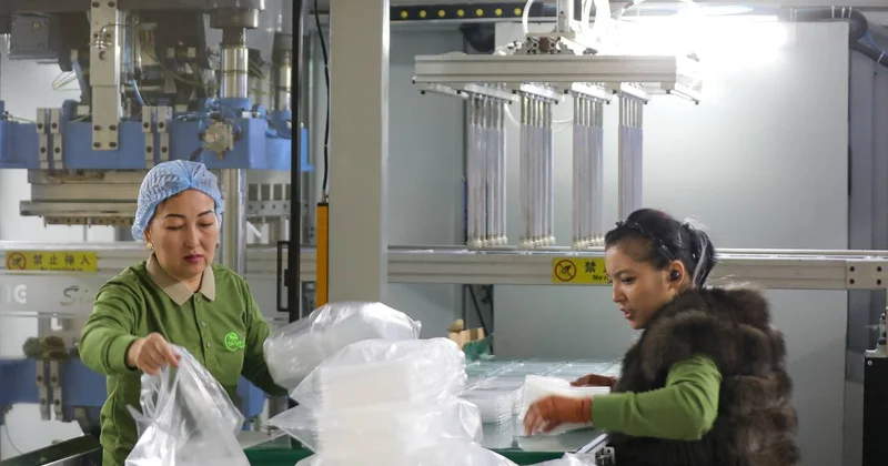 Завод по производству пластиковой посуды заработал в Туркестане