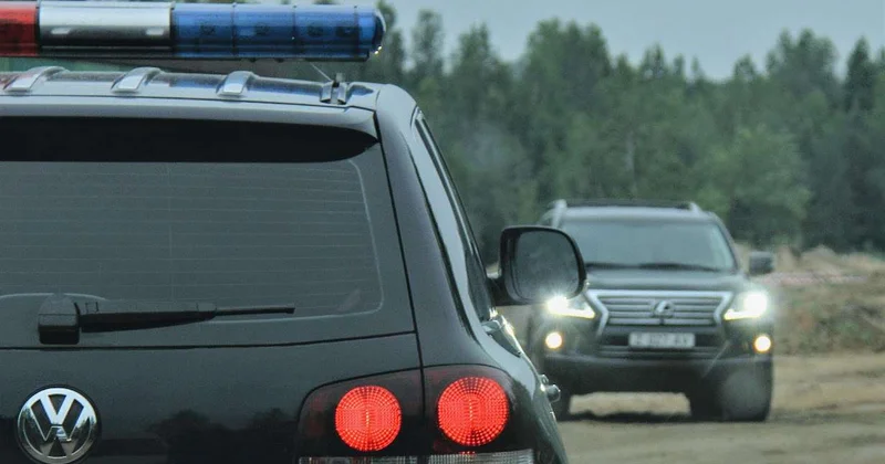 В Павлодарской области браконьеры убили двух краснокнижных архаров