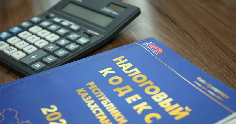 Не повод сеять панические настроения Токаев о налоговой реформе