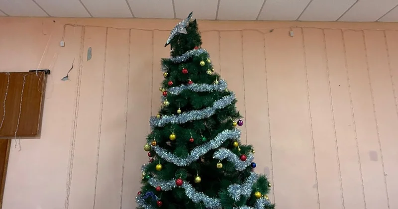 Ёлка за восемь млн: зачем школе в Степногорске 32 000 игрушек и принтеры, как для дата центра