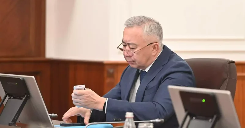 Жұманғарин әйелінің қосымша табысын жариялады