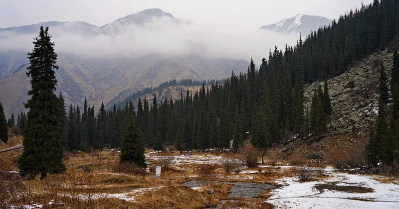Казахстанка нашла в горах флешку с фото 17 летней давности и через соцсети отыскала владельцев
