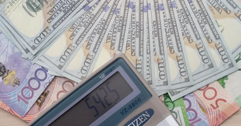 Появились первые декларации казахстанских чиновников, но в них раскрыли только доходы их супругов