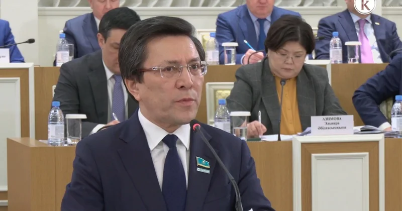 Ұлттық валюта мен эмиссиялық органды Конституцияда айқындау қажет Нұртай Сабильянов