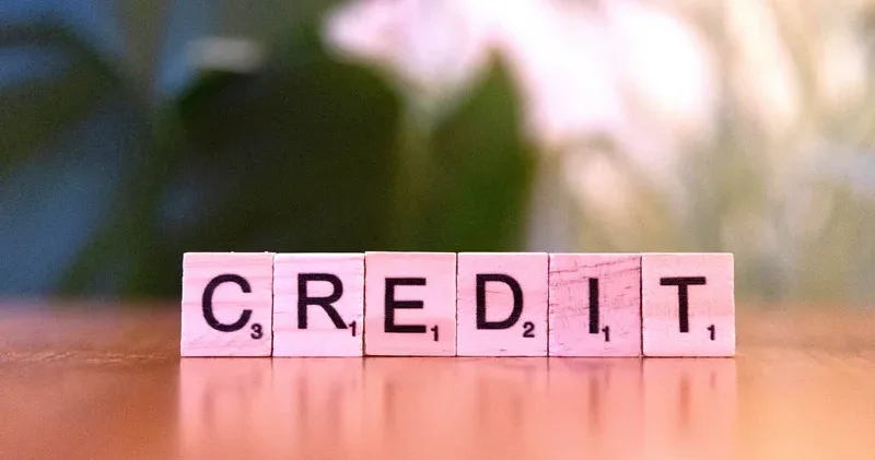 Несие алу неге қиындады?