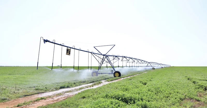 Қағаз жүзіндегі кооператив ауылды құтқара ма?