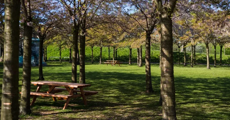 Отдых за городом: будут ли брать плату за въезд на территорию экопарков в Казахстане