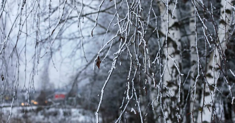 Дождь и снег прогноз погоды на 5 февраля