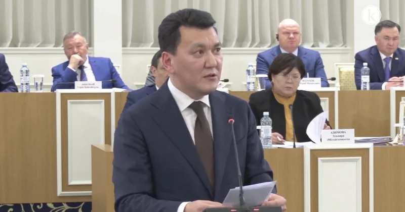 Мемлекеттік кеңесші: 1995 жылғы Конституциядан өрескел қателер анықталды