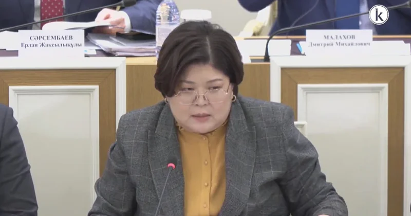 Эльвира Әзімова: Комиссия хатшылығына 4 мыңнан астам ұсыныс келген