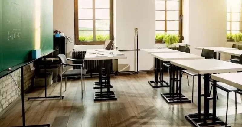 Дополнительные каникулы: первоклассники отдохнут 7 дней в феврале