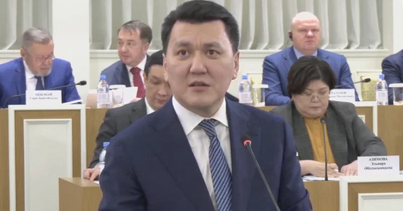 Конституциямыз ел тарихында тұңғыш рет қазақ тілінде жазылып жатыр Ерлан Қарин