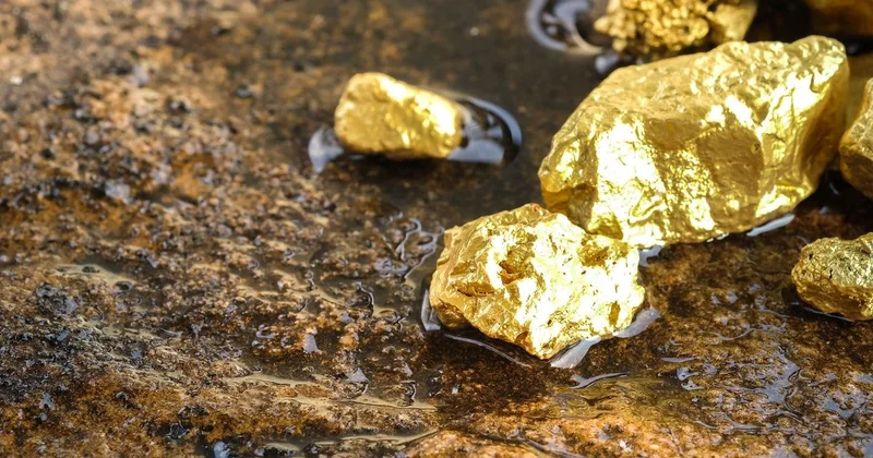 Добывали золото: группу из 12 человек разоблачили в Туркестанской области