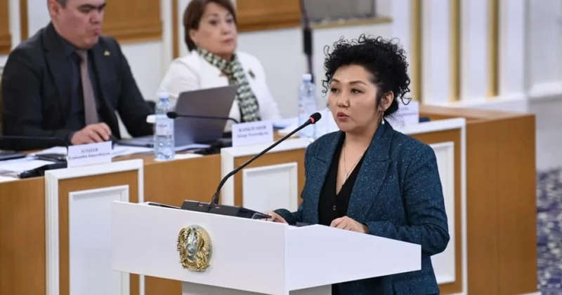 Жаңа Конституцияға мемлекет тарапынан келтірілген зиянды өтеу туралы норманы енгізу ұсынылды