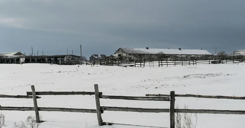 Четырех членов одной семьи нашли мертвыми в Алматинской области