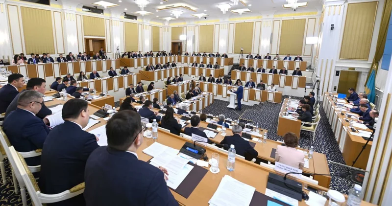 Комиссия мүшелері жаңа Конституция жобасын нақты, мазмұнды және кәсіби деңгейде түсіндіруді жалғастырады Эльвира Әзімова