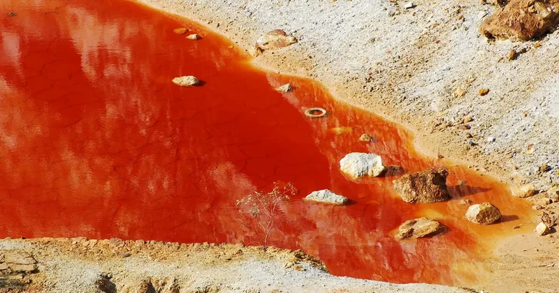 Красная вода в арыках Макинска: предприятие оштрафовали за экологические нарушения