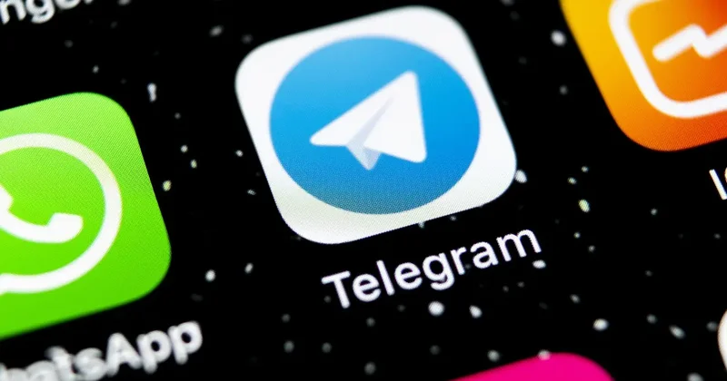 Подросток создал чат скинхедов в Telegram: суд Семея вынес приговор