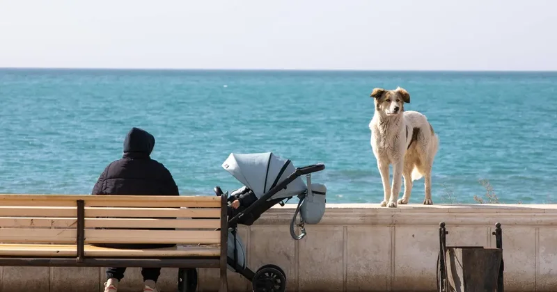 Цена секретности: сколько стоит экологическое молчание на Каспии? Разбирательство началось в ООН