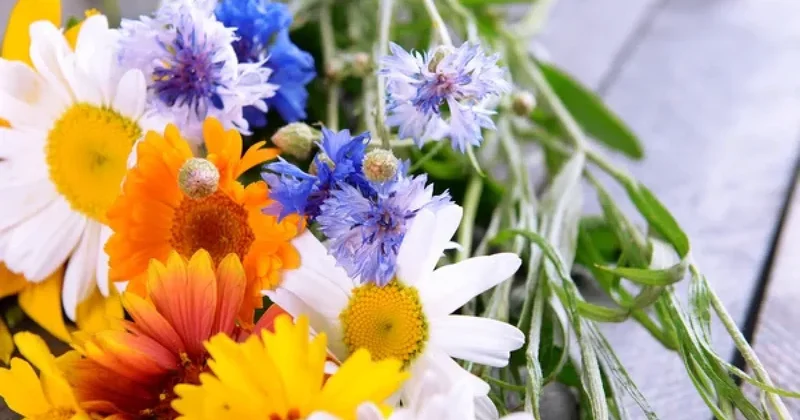 Мошенники активно обманывают казахстанцев перед 8 Марта