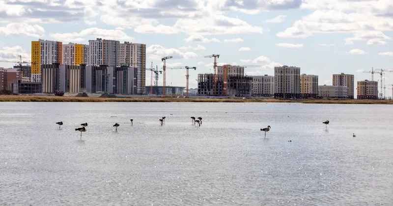 Акимат Астаны отказывается установить водоохранные зоны на Малом Талдыколе до утверждения генплана