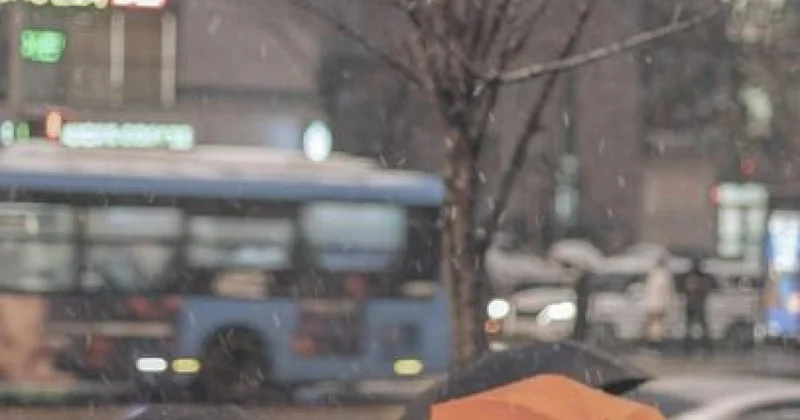 Два автобуса временно изменят схему движения в Алматы