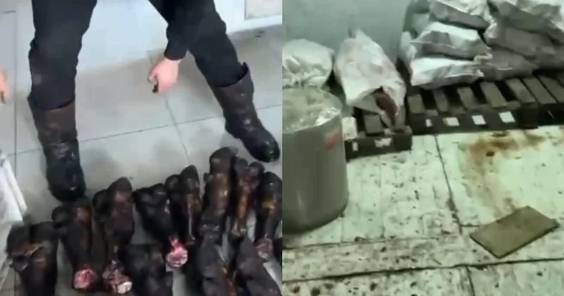 Операция Скотокрад : подпольный мясной цех закрыли в Астане (видео)