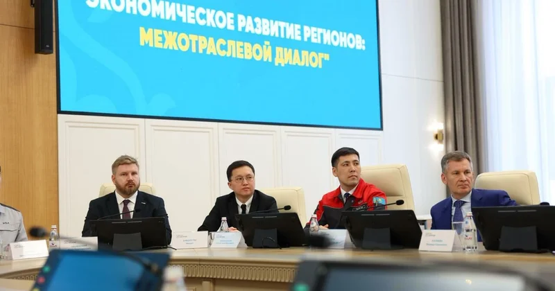 Конституция больших надежд