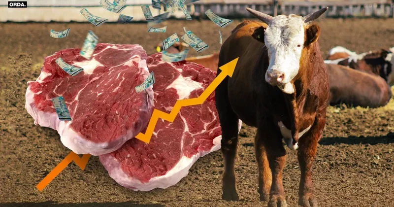 В Минсельхозе объяснили, почему растут цены на говядину в Казахстане