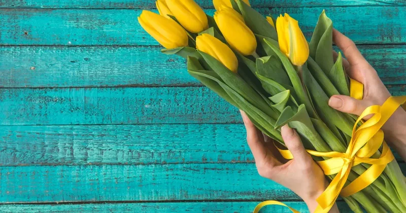 Раздача тюльпанов, концерты и турниры: как в Астане и Алматы отметят 8 Марта