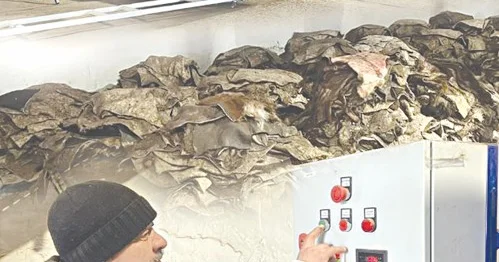 Өңір экономикасына серпін беретін кәсіпорын