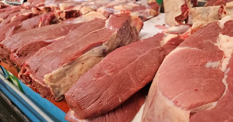 Астанада полиция заңсыз ет өнімдерінің айналымын тоқтатты